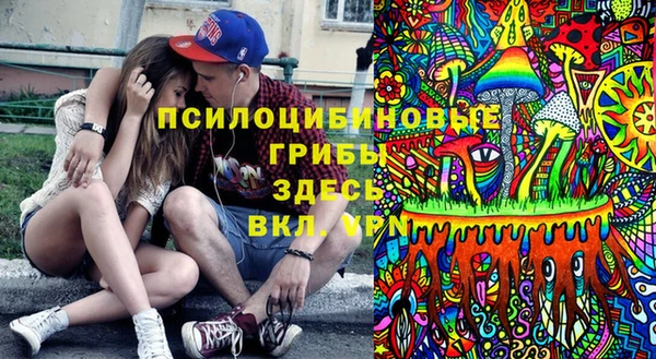 ешки Алзамай