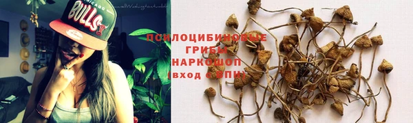 скорость Алексеевка