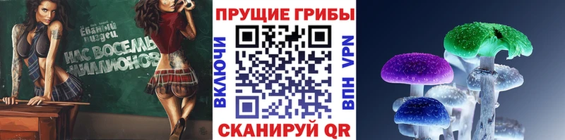 Псилоцибиновые грибы мухоморы  блэк спрут вход  Электрогорск  наркошоп 