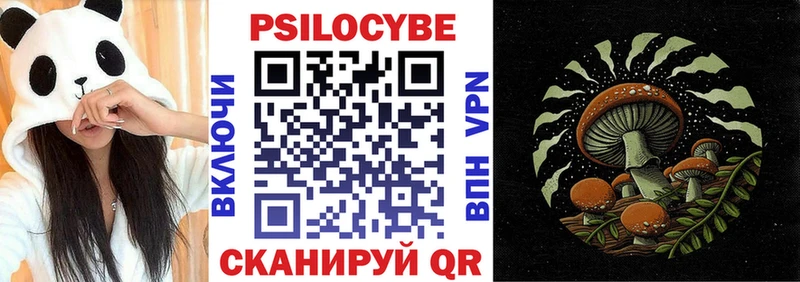 Галлюциногенные грибы Cubensis Электрогорск