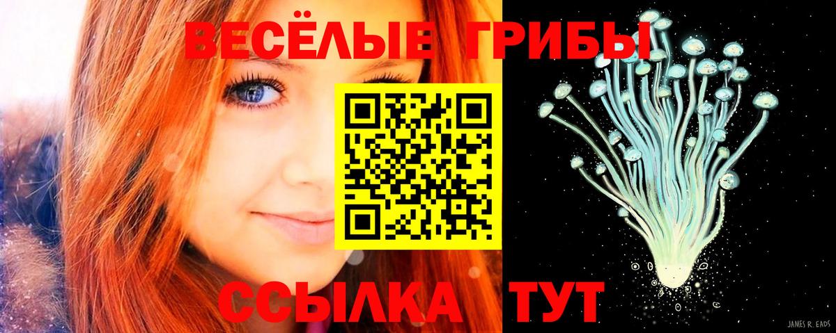Псилоцибиновые грибы мухоморы Электрогорск